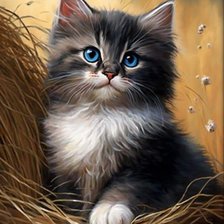 Схема вышивки «Котик»