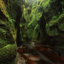 Схема вышивки «Лес»