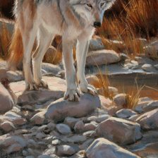 Схема вышивки «North American. Edward Aldrich»