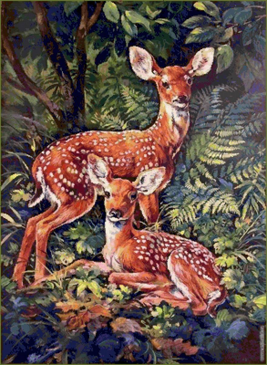 Оленята - животные, олень - предпросмотр