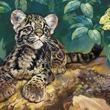 Схема вышивки «Юный хищник»