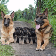 Схема вышивки «№2724087»