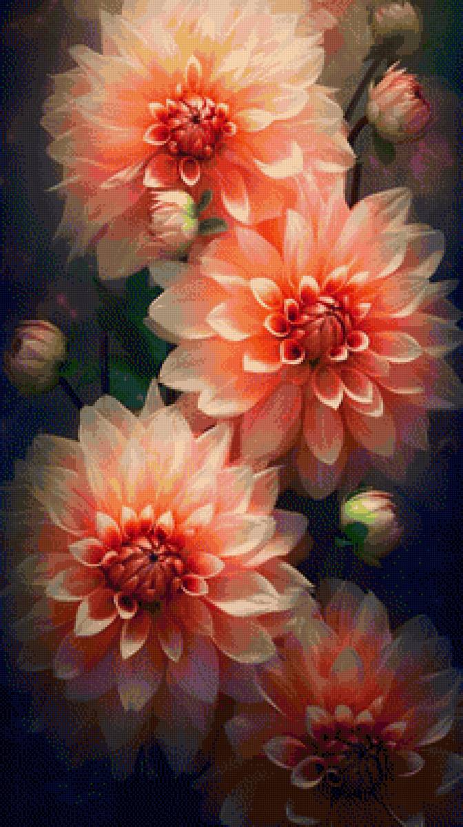 Георгины - цветы, георгины - предпросмотр