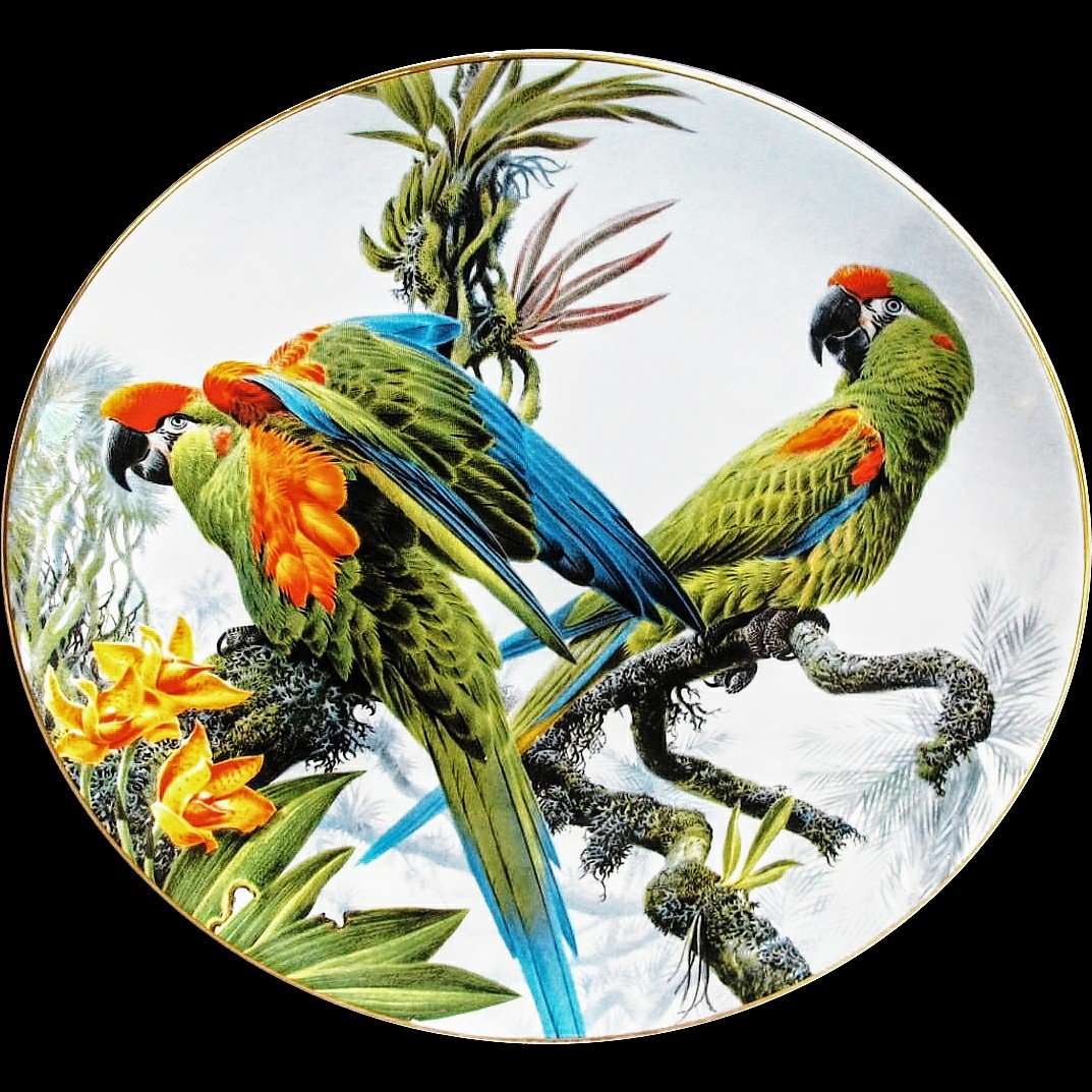 №2724510 - птицы, пара, попугай - оригинал