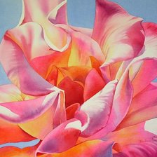 Схема вышивки «Пиончики»