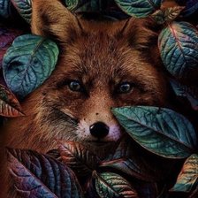 Схема вышивки «Лиса в листве»