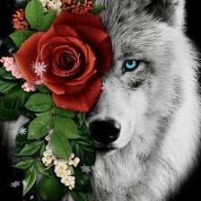 Схема вышивки «1/2 волка с цветком»