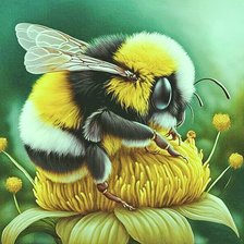 Схема вышивки «Шмель»