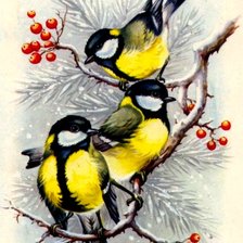 Схема вышивки «синицы на рябине»