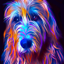 Схема вышивки «Радужный портрет ирландского волкодава»