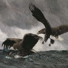 Схема вышивки «Морские орлы. Бруно Лильефорс»