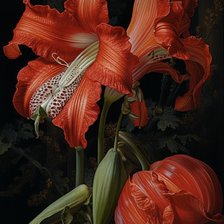 Схема вышивки «Аморалис»