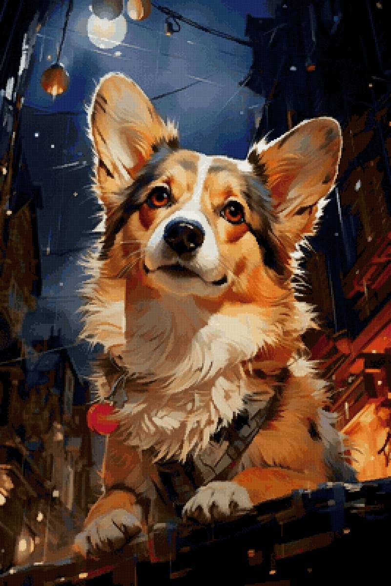 Корги - животные, собака - предпросмотр