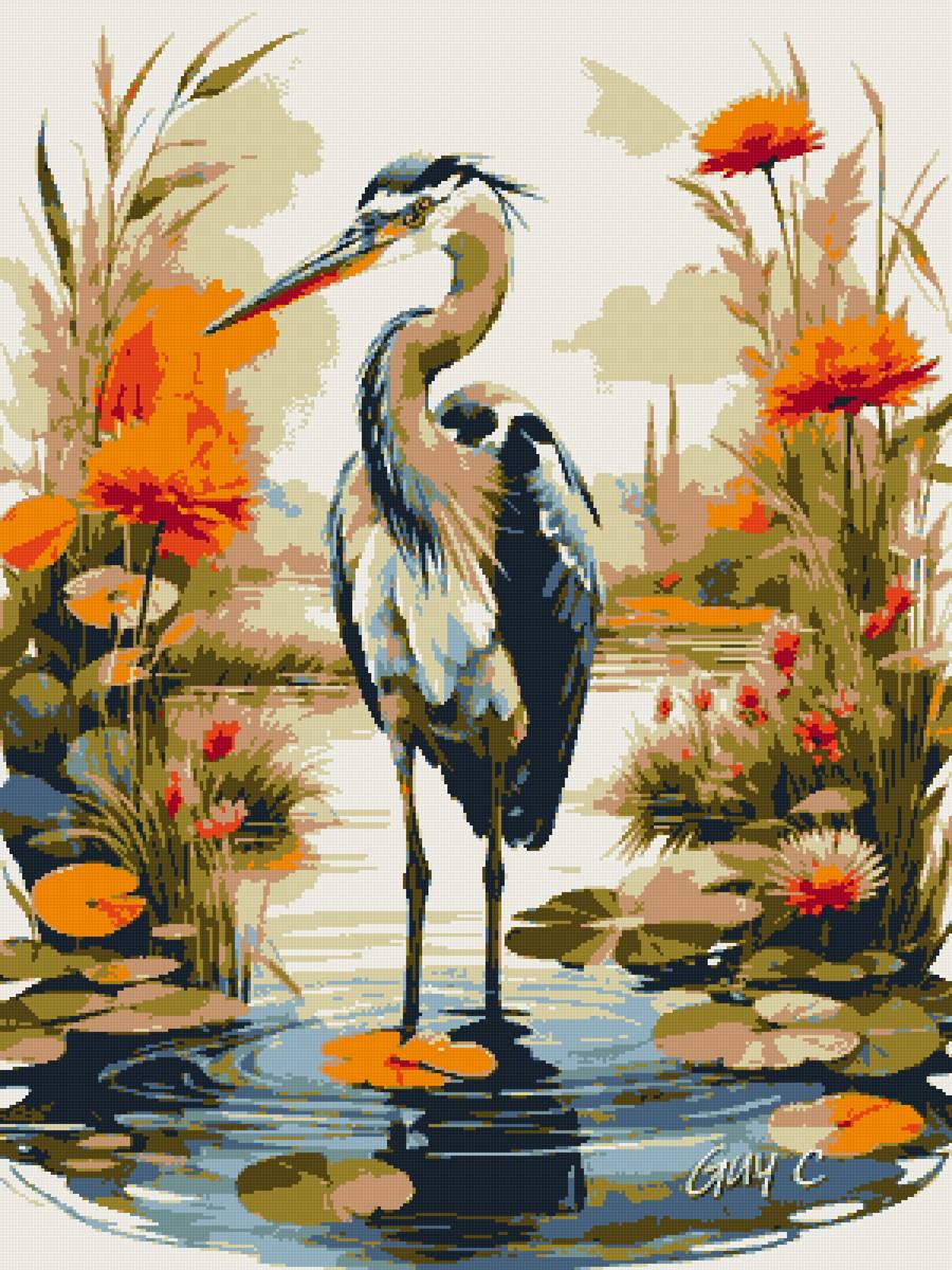 Цапля - птицы, цапля - предпросмотр