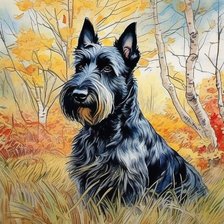 Схема вышивки «Скотч-терьер»