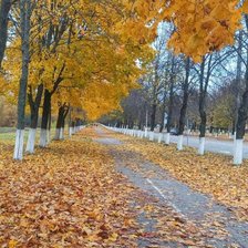 Схема вышивки «Осень»
