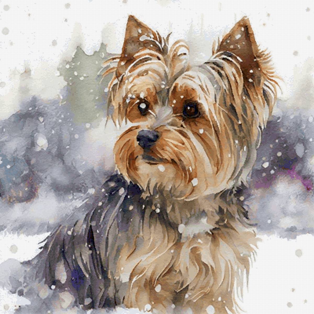 Йоркширский терьер - животные, йоркширский терьер, собака - предпросмотр