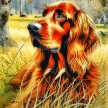 Схема вышивки «Ирландский сеттер»