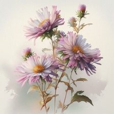 Схема вышивки «Альпийская астра»