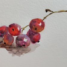 Схема вышивки «Веточка смородины»