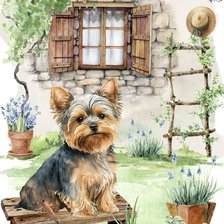 Схема вышивки «Йорки»