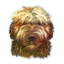 Схема вышивки «Австралийский терьер»