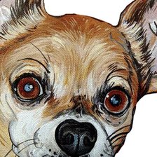 Схема вышивки «Портрет чихуахуа»
