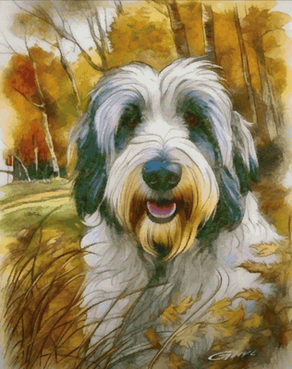 Бриар - собака, собаки, бриар, животные - предпросмотр