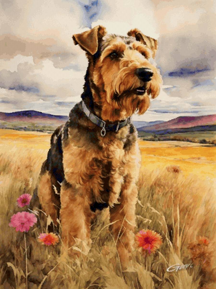 Эрделька - собака, животные, собаки, эрдельтерьер - предпросмотр