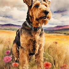 Схема вышивки «Эрделька»