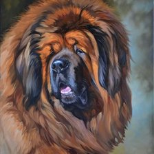 Схема вышивки «Тибетский мастиф»