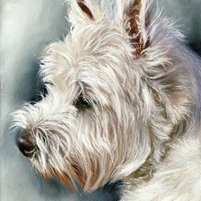 Схема вышивки «Вест хайланд терьер»