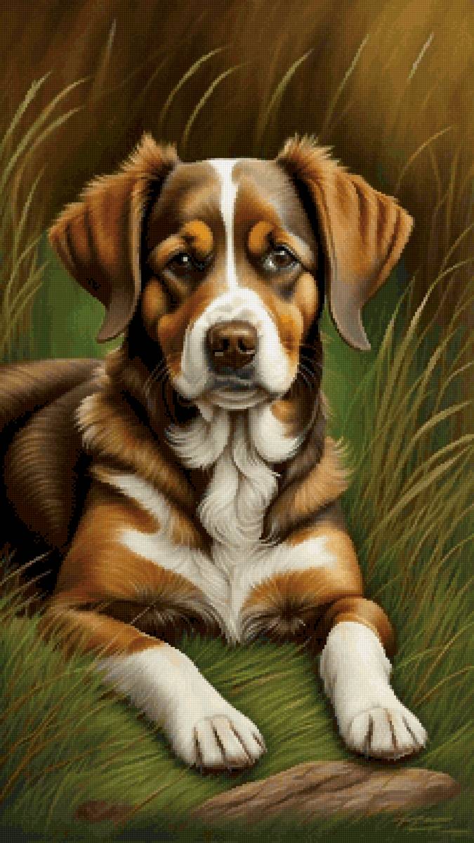 Собака - животные, собаки, собака - предпросмотр