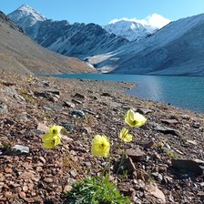 Схема вышивки «Озеро Горных Духов»