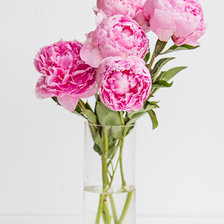 Схема вышивки «Букет пионов»