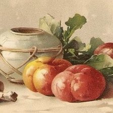 Схема вышивки «Mrtva priroda»