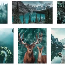 Схема вышивки «модльные картины»