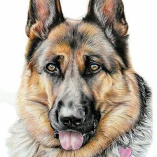 Схема вышивки «Матёрый пес»