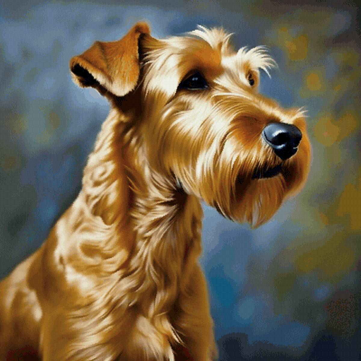 Ирландец - собаки, собака, животные, ирландский терьер - предпросмотр