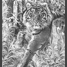 Схема вышивки «№2729769»