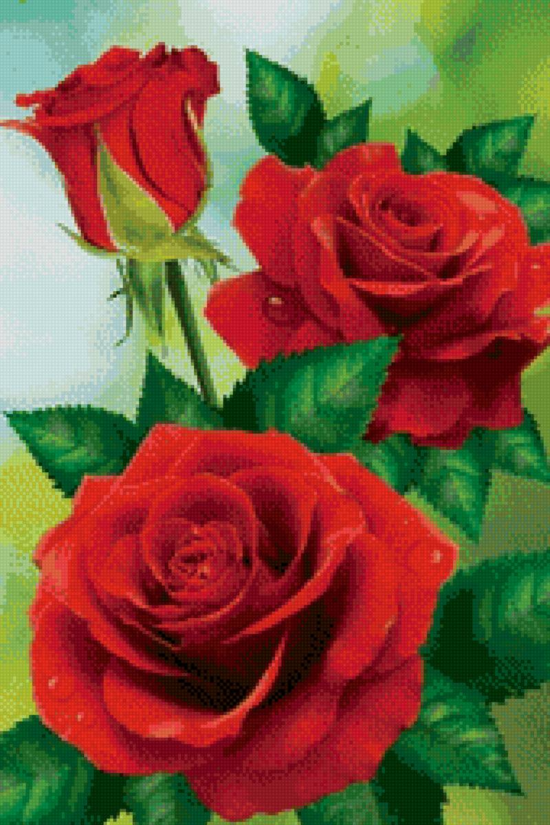 Алые розы - предпросмотр