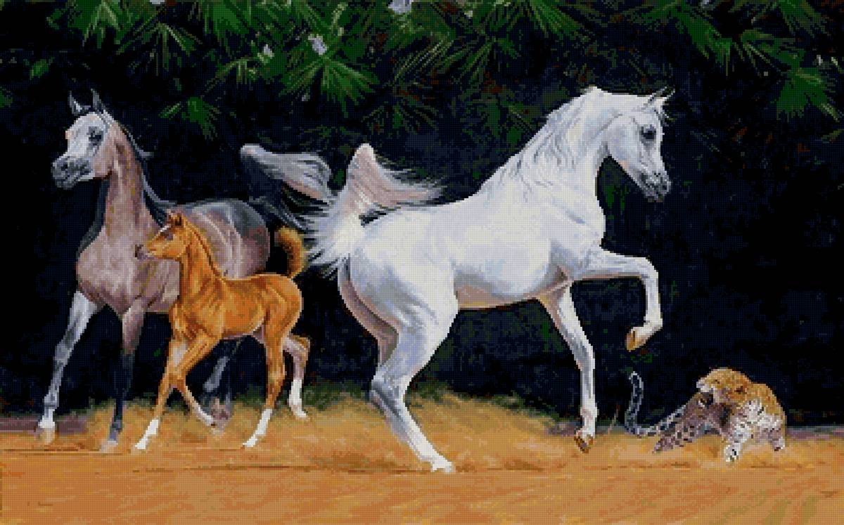 №2730204 - животные, кони - предпросмотр