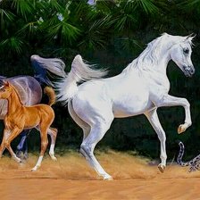 Схема вышивки «№2730204»