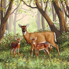 Схема вышивки «№2730389»