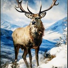 Схема вышивки «№2730410»