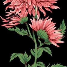 Схема вышивки «№2730427»