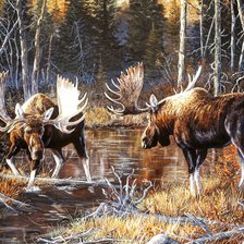 Схема вышивки «№2730747»