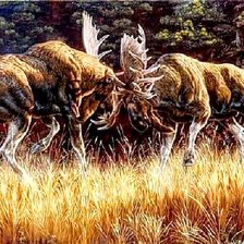 Схема вышивки «№2730750»