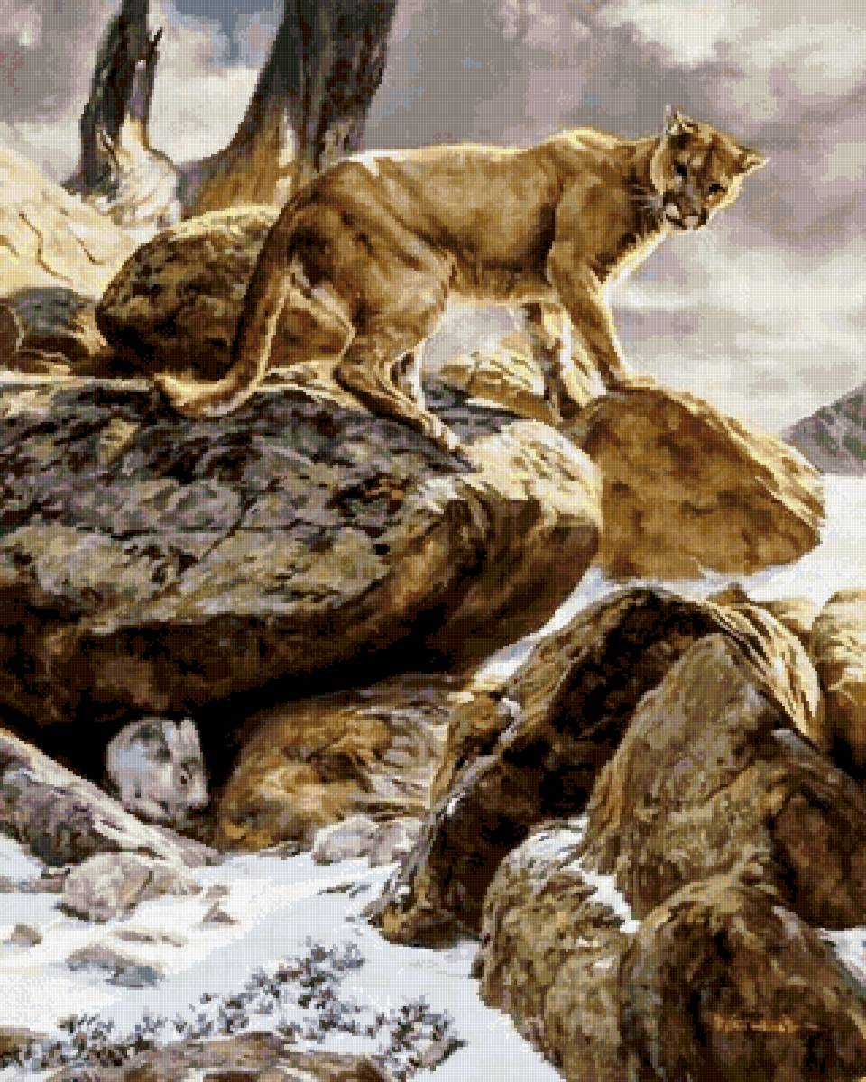 №2730765 - охота, животные, пума, заяц - предпросмотр