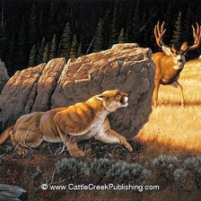 Схема вышивки «№2730769»